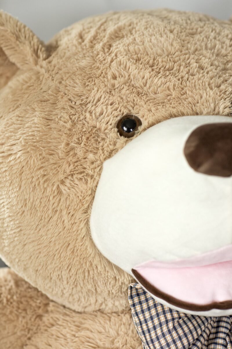 Teddybear - Ours Géant en Peluche