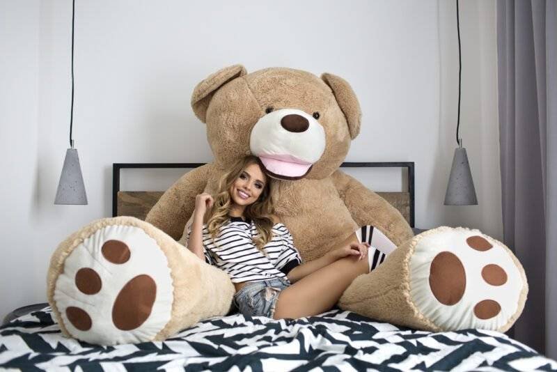 Pourquoi les peluches sont si importantes | Peluches.ma
