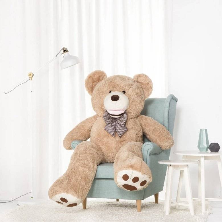 Ours en peluche classique