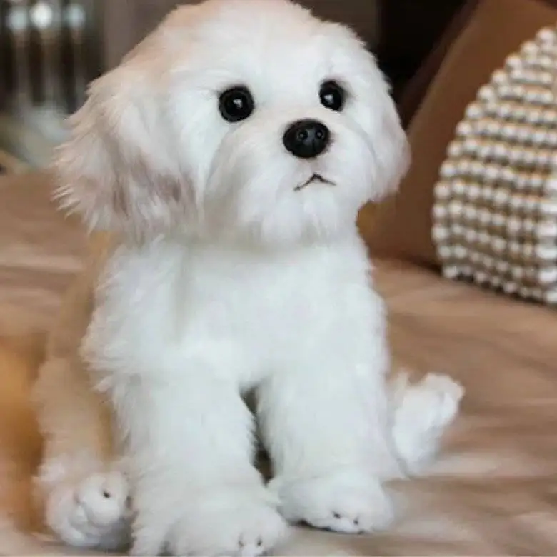 peluche chien réaliste, doudou chien bébé, peluche bichon Maroc, peluche douce certifiée